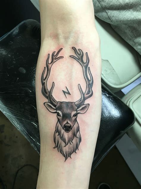Stag Stag Tattoo Design Deer Tattoo Forearm Tattoo Tattoo Designs
