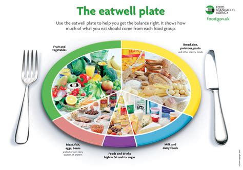 Food pyramid — food′ pyr amid n. The New Food Pyramid is a Plate - Garma On Health