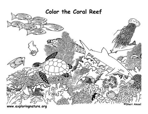 Did you know the ocean covers 71% of the earth's surface and that 95% of it remains unexplored! 7 best images about Coral reef coloring pages on Pinterest