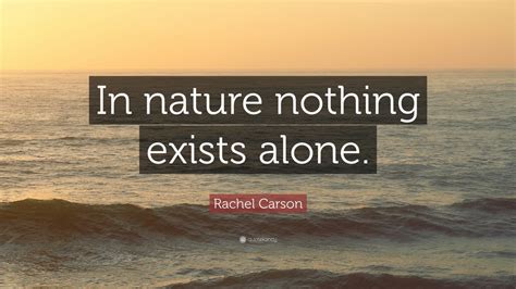 Rachel Carson Quote “in Nature Nothing Exists Alone” 12 Wallpapers