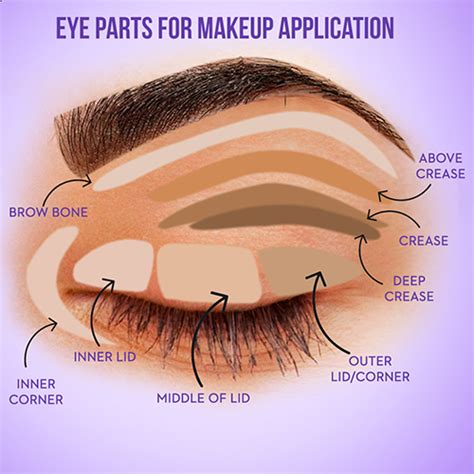 How To Put Eyeshadow Step By Step Mundoalbiceleste Blog