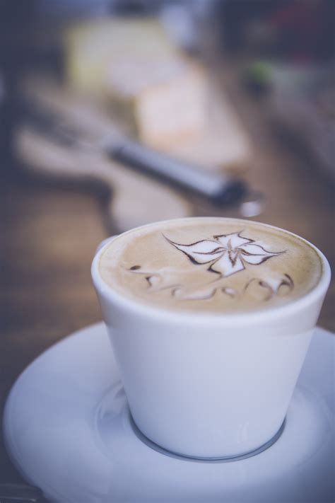 Free Images Morning Flower Foam Cappuccino Food Macro Drink