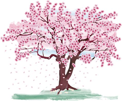 Download Cherry Blossom Tree Spring Royalty Free Vector Graphic