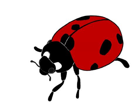 Cute ladybug coloring pages ideas. Cute Ladybug Drawings | Free download on ClipArtMag