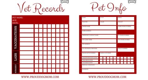 Pet Vaccination Records Printable | Template Business PSD, Excel, Word, PDF