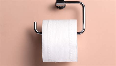 Where Does Toilet Paper Holder Go