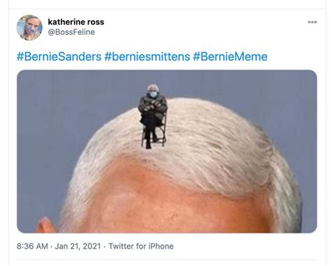 View The Best Memes Of Bernie Sanders In A Coat And Mittens Raleigh News And Observer
