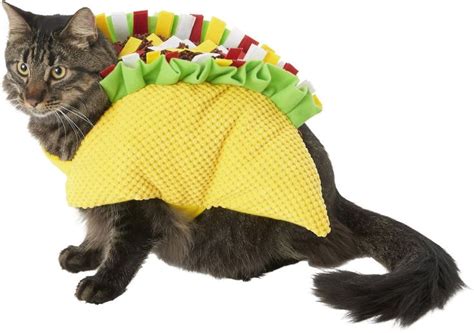 Got A Feline Friend These Costumes For Cats Will Make Your Halloween