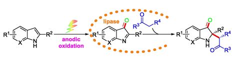 Catalytic Activity Of Lipase And Electrosynthesis Merged Chemistryviews