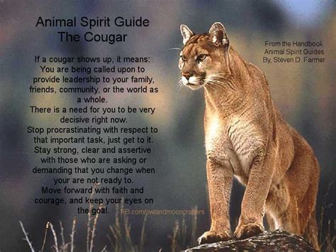 Crone Cronicles Animal Spirit ~the Cougar