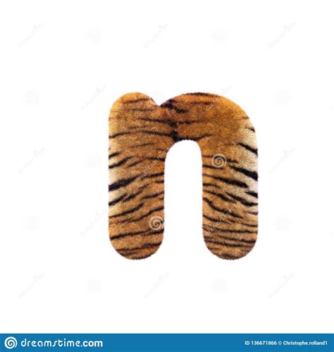 Tiger Letter O Small D Feline Fur Font Suitable For Safari