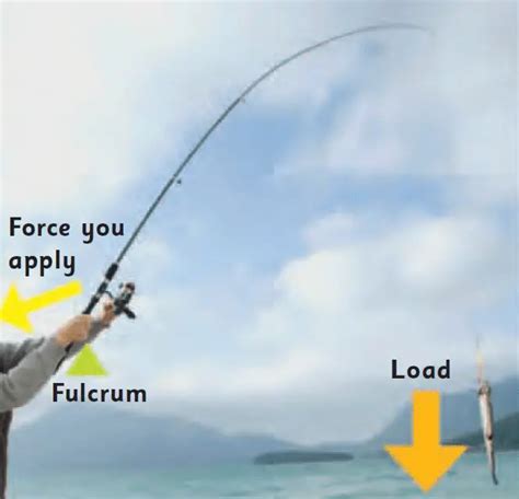 Fishing Rod As A Lever PhysicsTeacher In