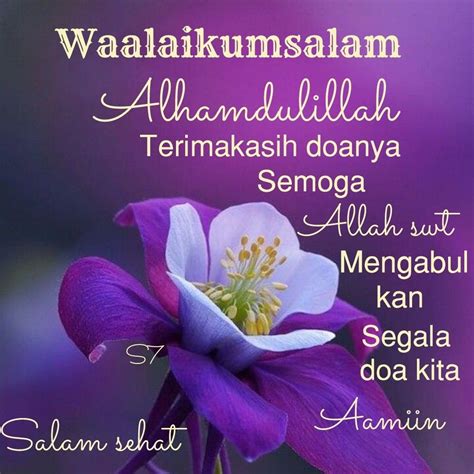 Salam Image Muslim Greeting Assalamualaikum Image Islamic Quotes
