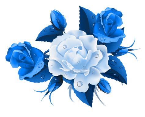 Blue roses png 1 » PNG Image png image