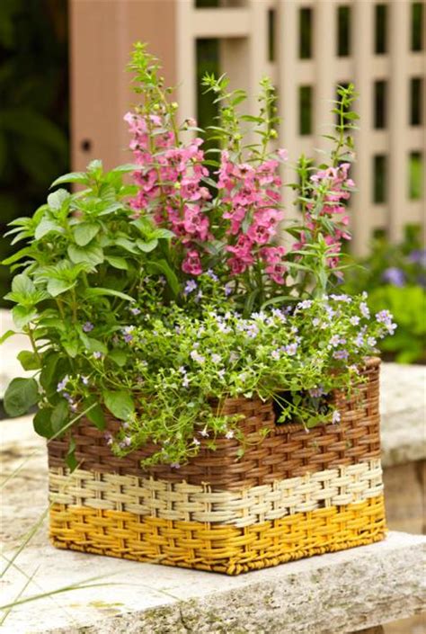 How To Paint And Plant Baskets For Container Gardens