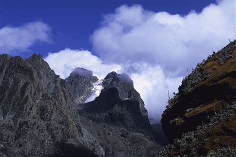 Mount Stanley In The Rwenzori Mountains National Park Sandgrouse Travel