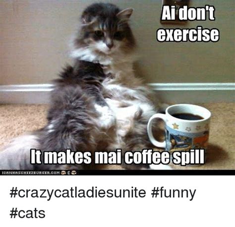 Cat Exercise Meme Exercisewalls