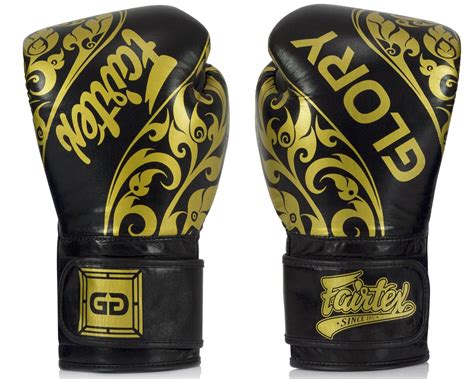 Fairtex Glory 2 Boxing Gloves Bgvg2