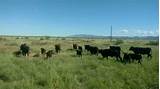 Arizona State Land Department Grazing Lease Pictures