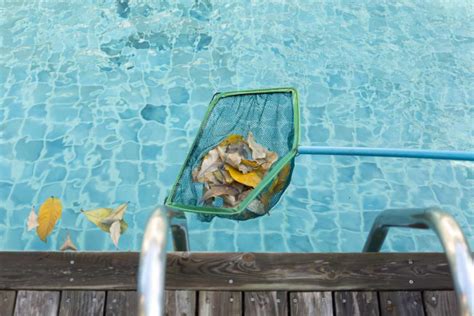 A Guide To Swimming Pool Skimmers What They Do How They Work