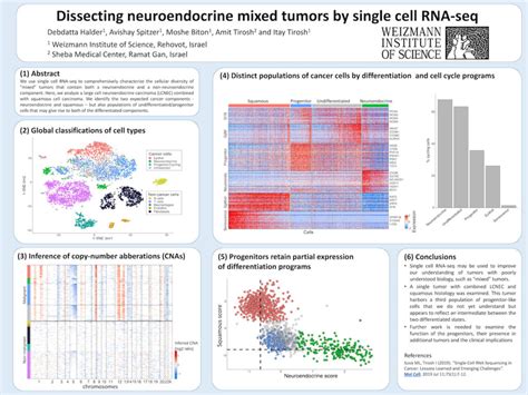 Dissecting Neuroendocrine Mixed Tumors By Single Cell Rna Seq Netrf