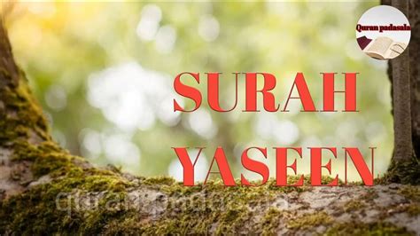 Surah Yasin Yaseen Full Recited By Omar Hisham Al Arabi Youtube