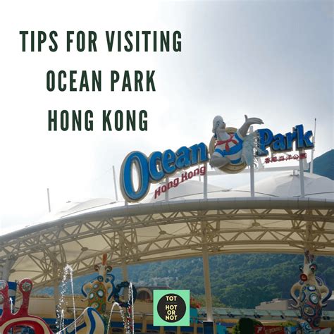 High 11 Suggestions For Visiting Ocean Park Hong Kong Thechinthawngpang