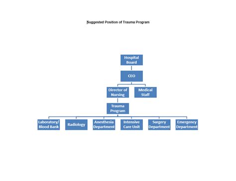 40 Free Organogram Templates Printable Samples