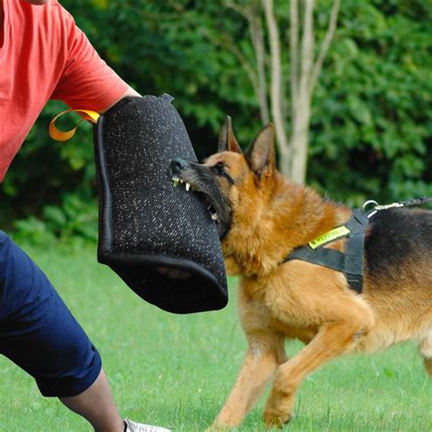 Dog Training Agility Equipment Pet Bite Tug Jute Bite Sleeve For