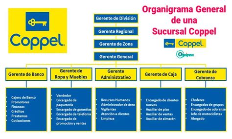 Organigrama General De Coppel 2023 Características Elementos Funciones