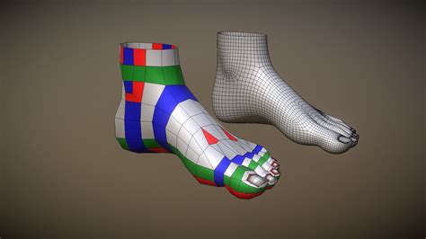 Foot Topology Cgcookie Style Cc0 Download Free 3d Model By
