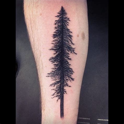 Sylvielesylvie Tattoo On Instagram Douglas Fir Walk In From Today