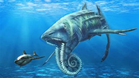 The basking shark is the second biggest shark in the world, coming in just behind the giant whale shark. 10 STRANGEST Prehistoric Sharks That Ever Lived! - YouTube