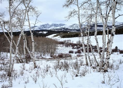 Bighorn Peak Photo In Winter From Circle Park In Bighorn Mountains