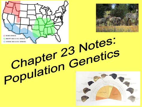 Ppt Chapter 23 Notes Population Genetics Powerpoint Presentation