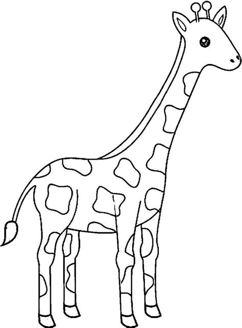 It will sure take her time to color each spot on the giraffe's body. Giraffe Cute Kids Coloring Page | Giraffe coloring pages ...
