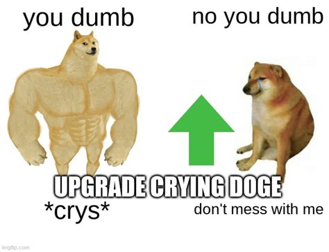 Crying Doge Get Upgrade Imgflip