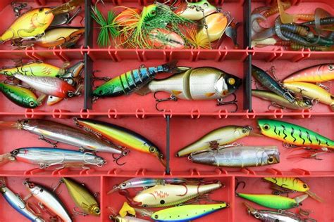 5 Best Fishing Lures Review For You List For 2020