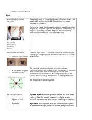 C Eyes Assessment Guide Docx C Eyes Assessment Guide Eyes