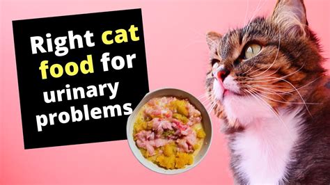 Wysong uretic was formulated by a veterinarian and features a balance of micronutrients and. What is the right cat food for urinary problems? - YouTube