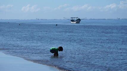 Ilha De Superagui Pelo Olhar De Moradores E Visitantes Meu Paran