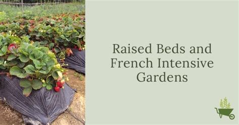Raised Beds And French Intensive Gardens Grown By You