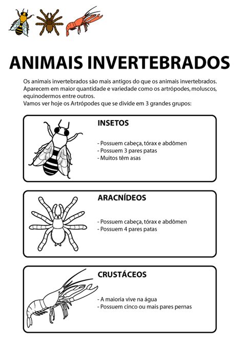 Animais Vertebrados E Invertebrados Atividades Educação Online