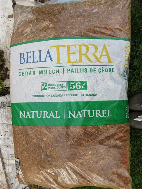 Not sure if cedar mulch is right for your home landscape? Thelma's Days: Mulching My Strawberry Patch