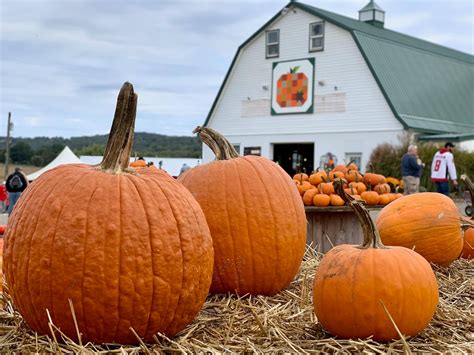 10 Best Pumpkin Patches To Visit This Fall 2021 With Photos Trips