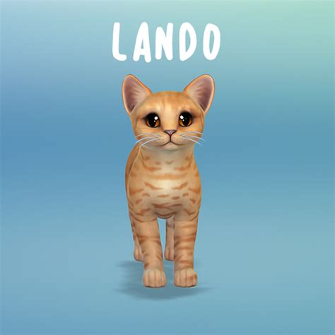 Make various canines and felines, let them move into the places of your sims to change their lives perpetually and deal with the creatures of the area with the sims 4 dogs and cats. Pin by Nicole Campbell on Sims | Sims 4 pets, Sims mods, Pets