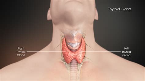 Throat Cancer Lump On Outside Of Neck