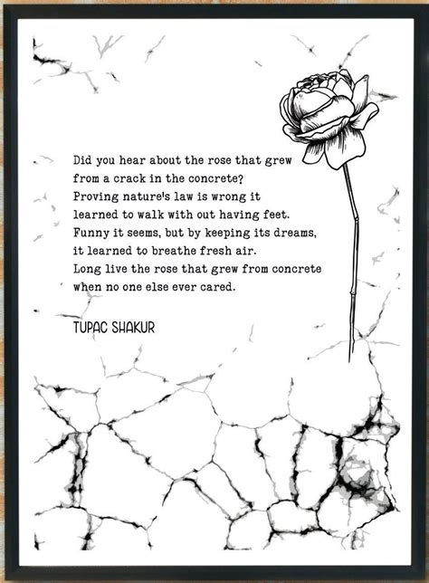 The Rose That Grew From Concrete Tupac Shakur Poem Etsy Canada