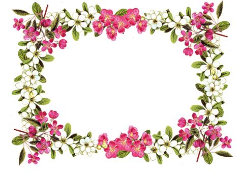 Free Digital Flower Frame Png In Vintage Design Blumenrahmen