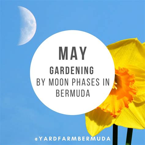 May 2022 Gardening By Moon Phases In Bermuda